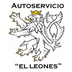 AUTOSERVICIO EL LEONES